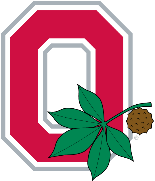 Ohio State Buckeyes 1968-Pres Alternate Logo v2 DIY iron on transfer (heat transfer)